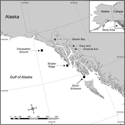 Phenotypic Plasticity or a Reproductive Dead End? Primnoa pacifica (Cnidaria: Alcyonacea) in the Southeastern Alaska Region